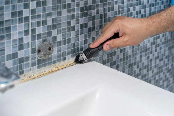 Best White Mold Remediation in Athens, TX